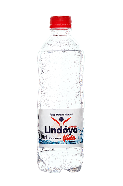 Água Mineral Natural Lindóya Vida 500mL com Gás