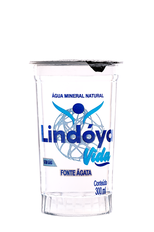 Copo 300mL Lindóya Vida